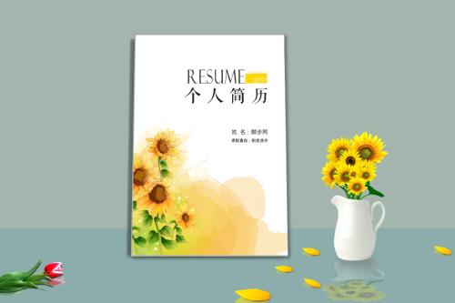写好简历包装术 反套路HR轻松拿高工资教程-月色惠资源网